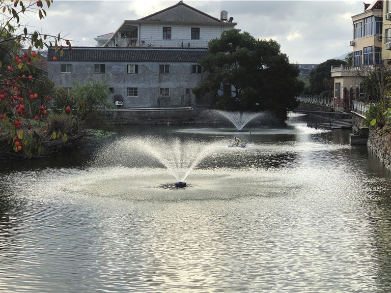“河水清澈了，環(huán)境也變好了” 院橋開展河道生態(tài)修復(fù)顯成效