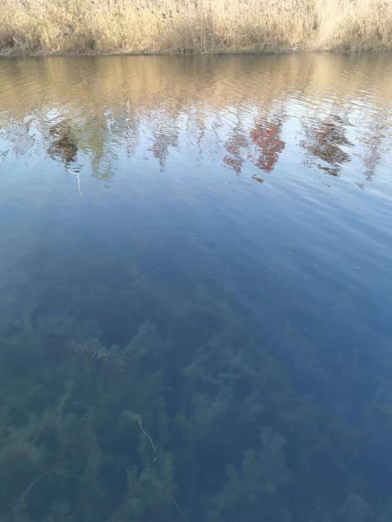 豐縣歡口鎮(zhèn)東營子河上游水生態(tài)修復(fù)工程