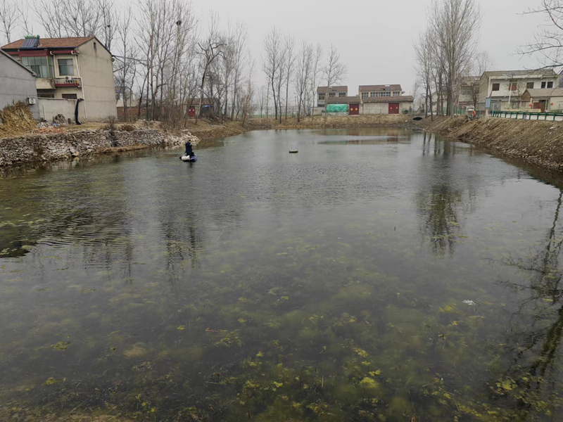 蕭縣盛屯坑塘水生態(tài)修復(fù)工程