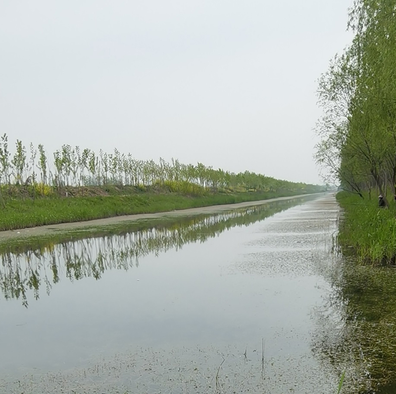 豐縣歡口鎮(zhèn)歡北大溝水生態(tài)修復(fù)工程