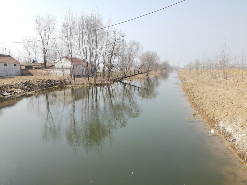 豐縣歡口鎮(zhèn)肖莊大溝水生態(tài)修復(fù)工程