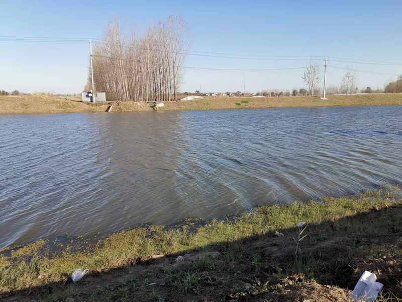 豐縣歡口鎮(zhèn)歡子河水生態(tài)修復(fù)工程