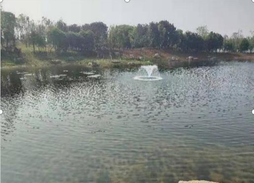 喜訊！江蘇正澤生態(tài)環(huán)境科技有限公司中標(biāo)蕭縣官橋鎮(zhèn)農(nóng)村黑臭水體綜合整治(生態(tài)治理）采購項(xiàng)目、蕭縣趙莊鎮(zhèn)農(nóng)村黑臭水體綜合整治采購項(xiàng)目