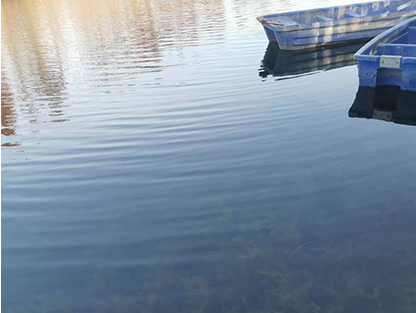 豐縣歡口鎮(zhèn)東營子河