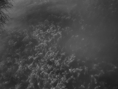 豐縣復(fù)新河