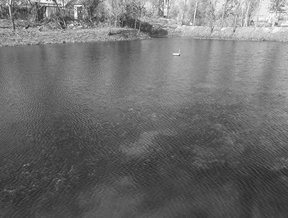 蕭縣趙莊鎮(zhèn)盛屯坑塘