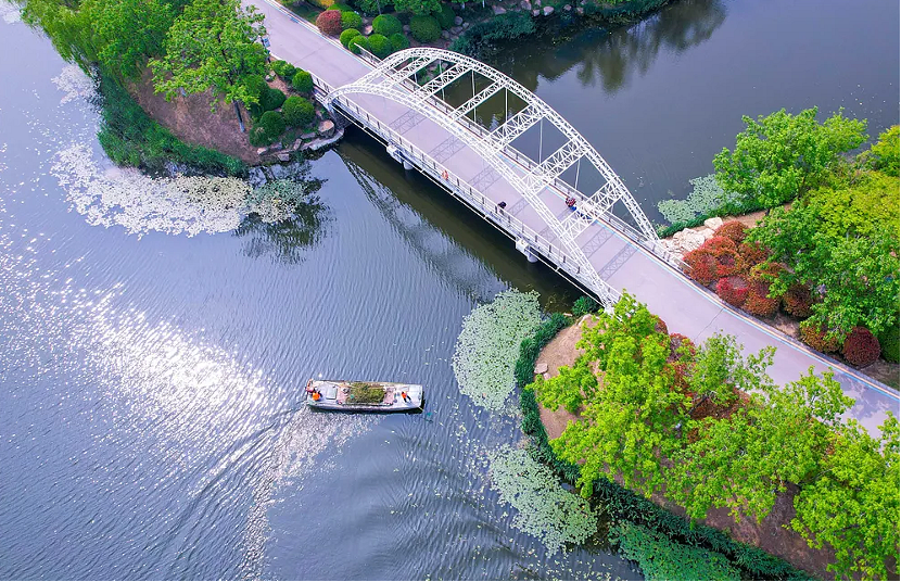 上傳圖片2.png 上傳圖片2.png