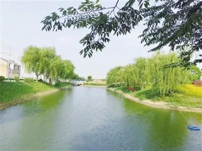 上傳圖片3.png 上傳圖片3.png