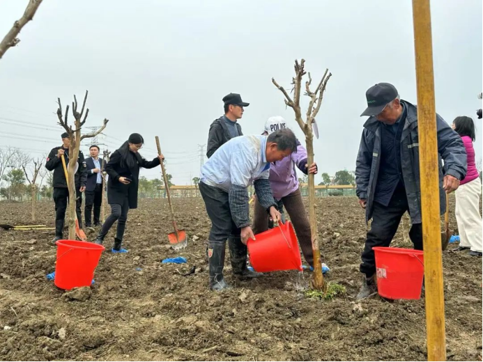 上傳圖片4.png 上傳圖片4.png