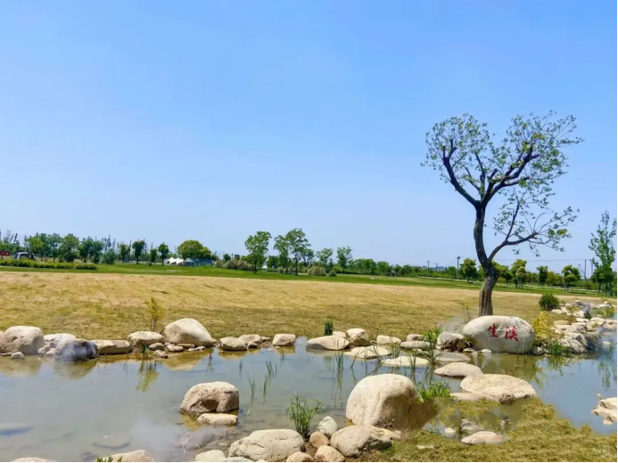 上傳圖片5.png 上傳圖片5.png