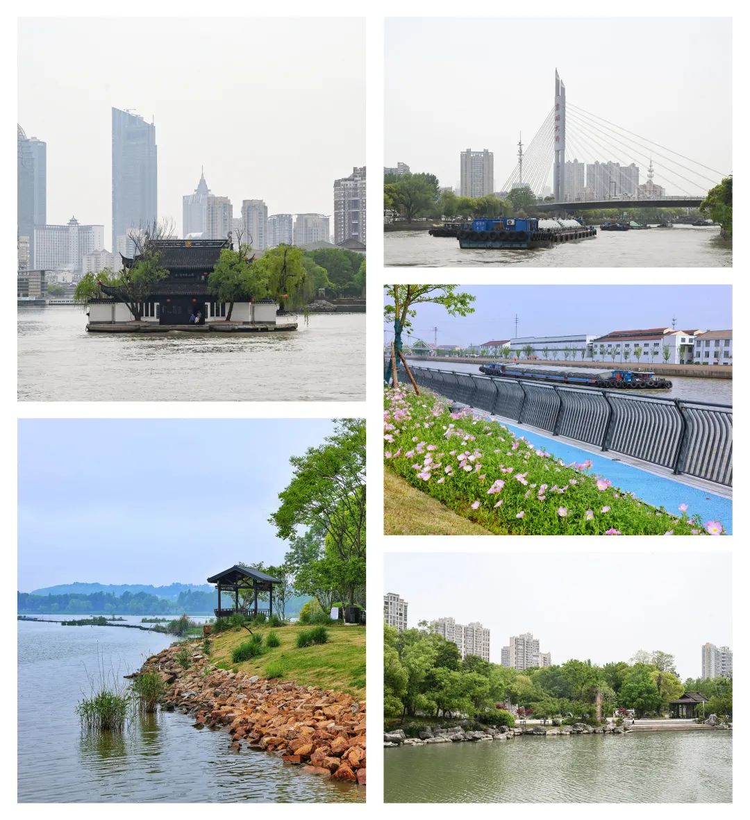 上傳圖片1.png 上傳圖片1.png