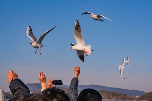 上傳圖片1.png 上傳圖片1.png