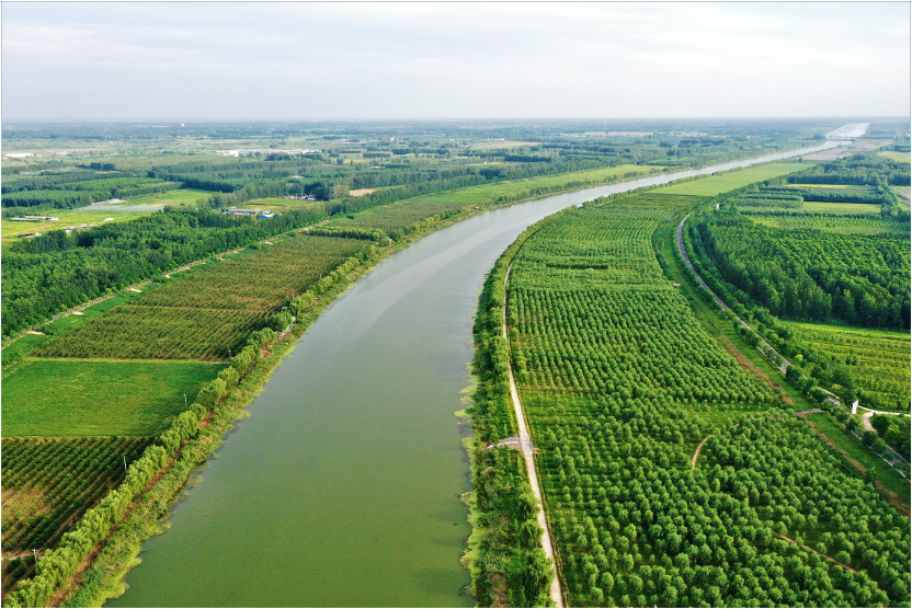 上傳3.png 上傳3.png