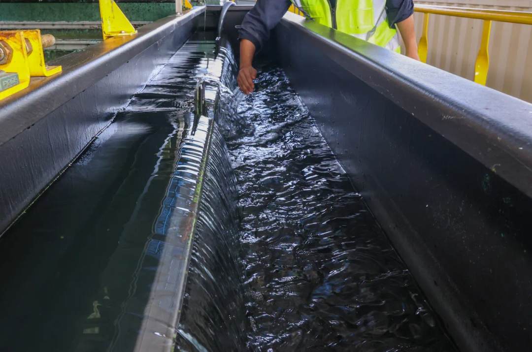 上傳圖片1.png 上傳圖片1.png