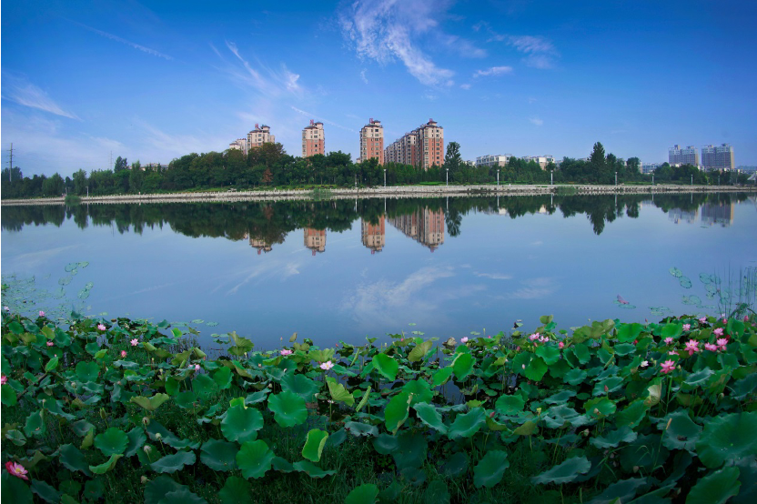 上傳圖片2.png 上傳圖片2.png