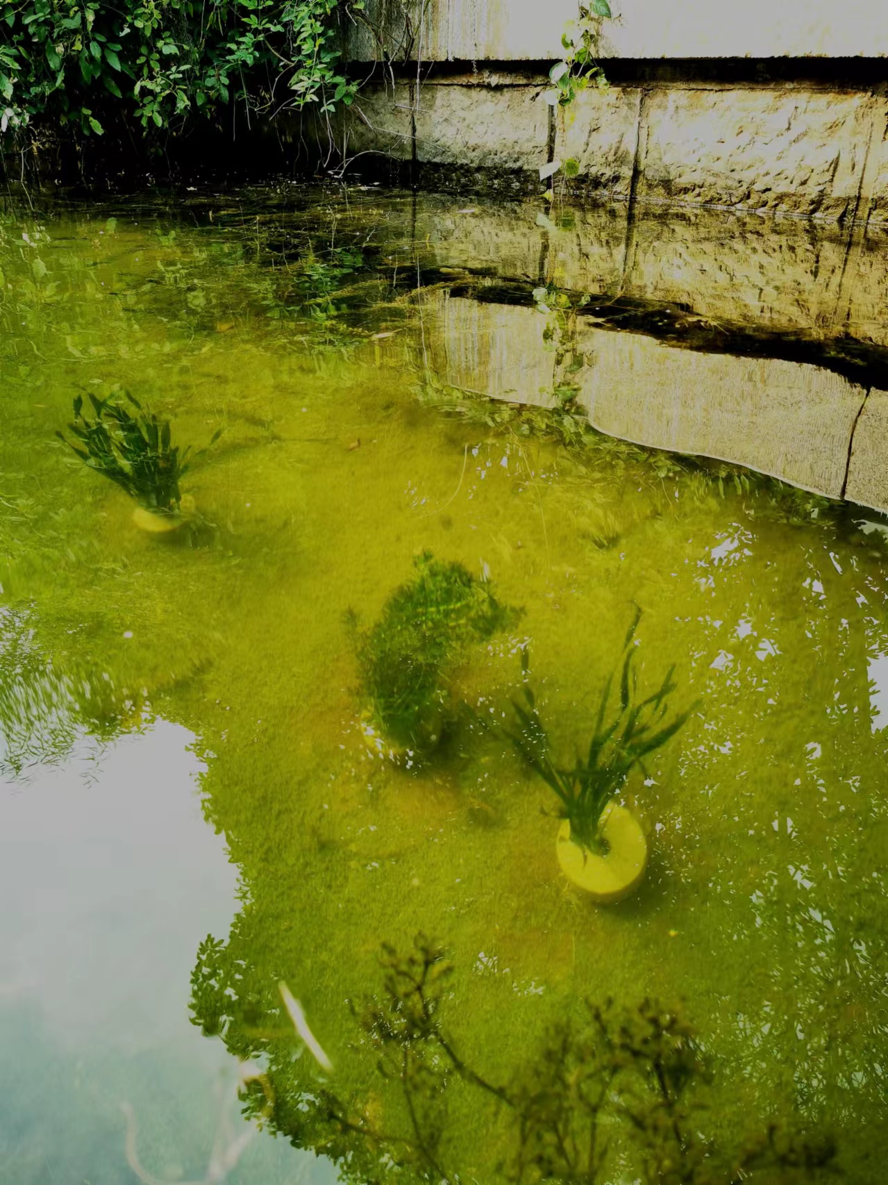 企業(yè)主營產(chǎn)品